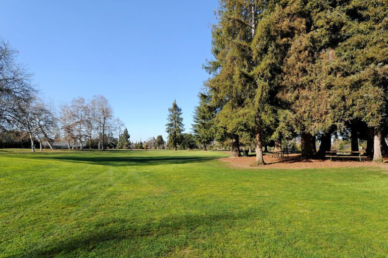 477_1421955635_1562372