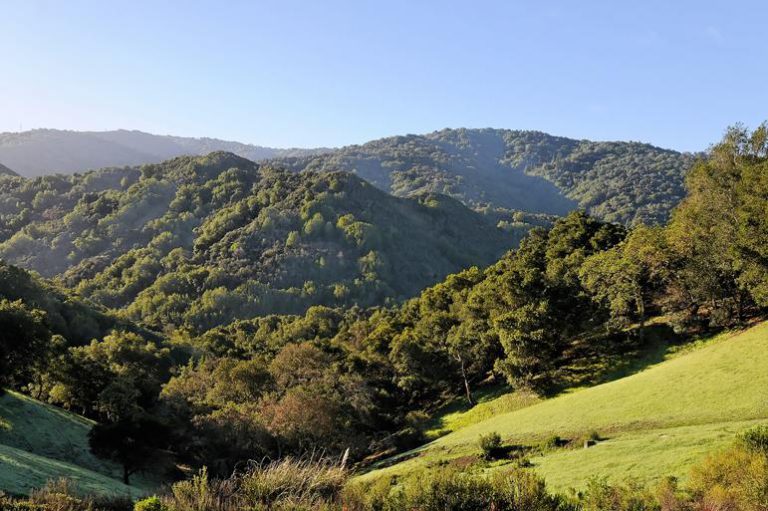 482_1423679713_1532495