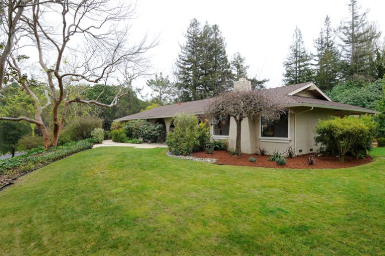 484_1424364851_1698354