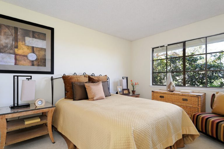 484_1424365127_1141360