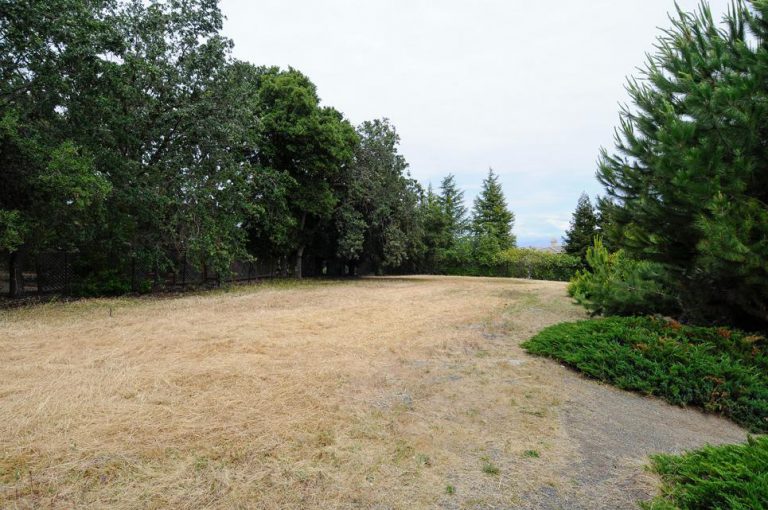 518_1432141076_1340069