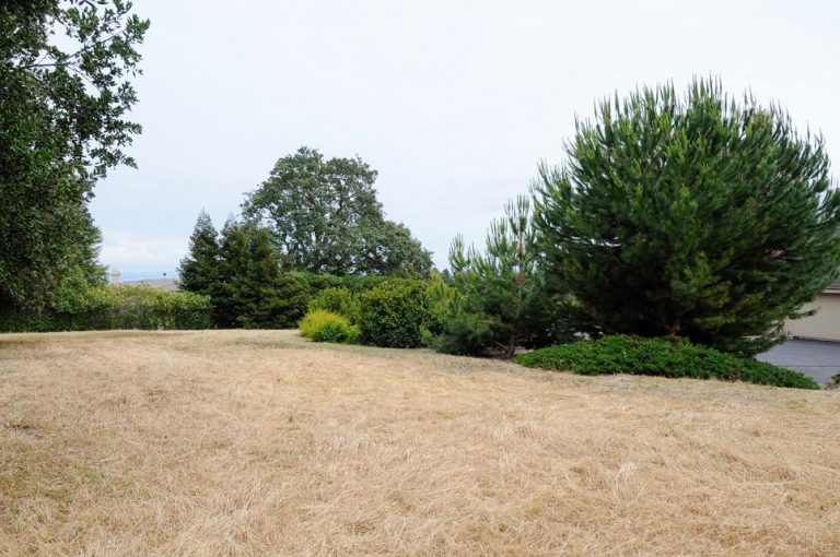 518_1432141077_1280060