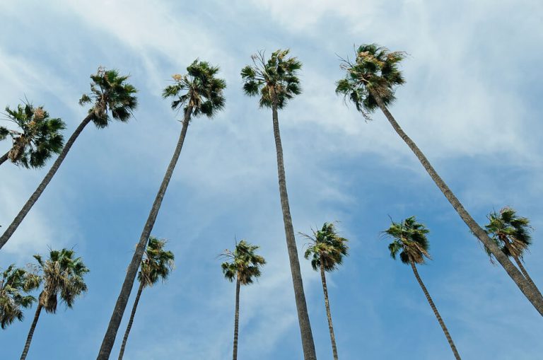 519_1432659648_1586544