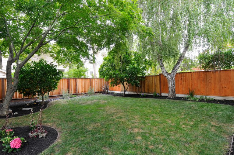 519_1432659648_1973005