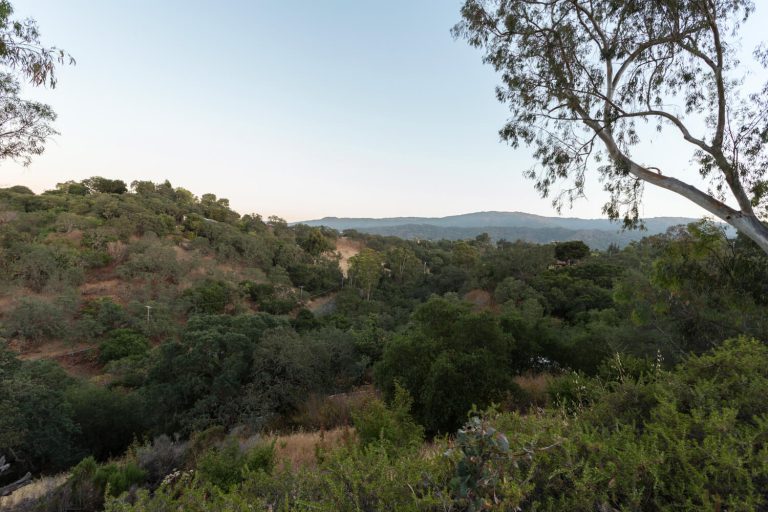 535_1437594024_1196087