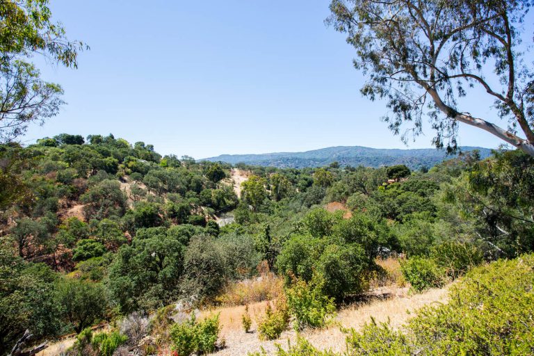 535_1437594047_1665422