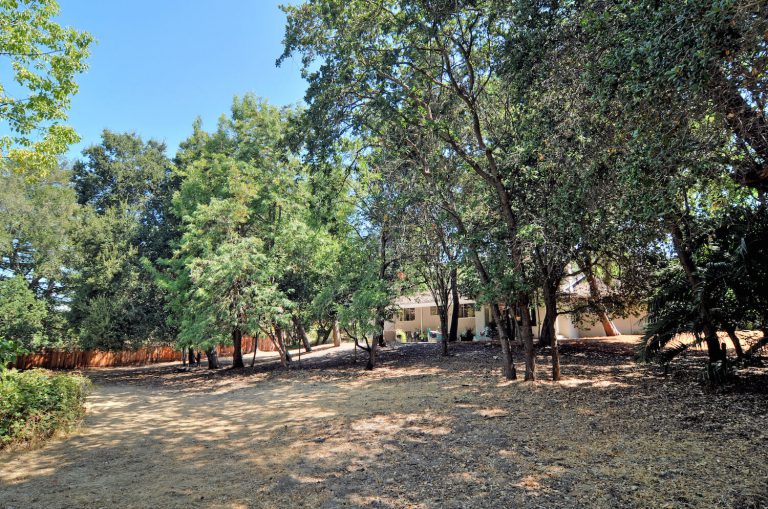 537_1437663532_1786521