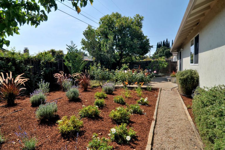 549_1440271331_1613242