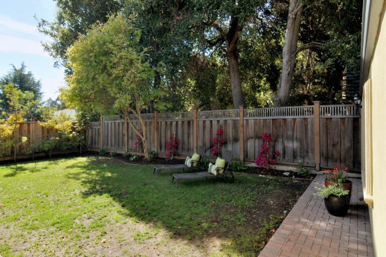 558_1443545685_1987290