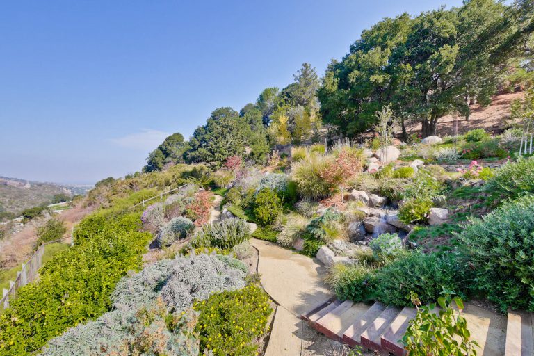 595_1454454807_1723148