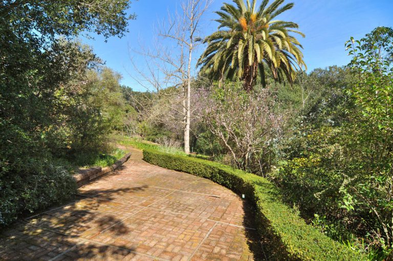 602_1456427368_1717993