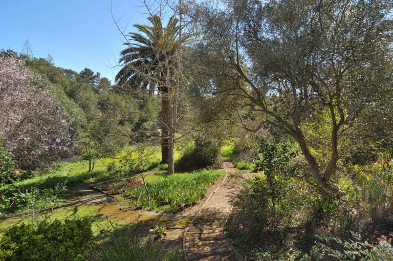 602_1456427368_1906273