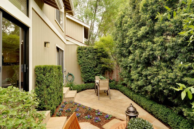 609_1457469366_1584699