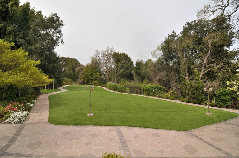 619_1459448396_1411862