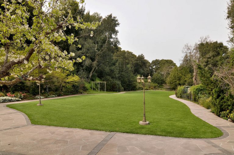 619_1459448396_1584802