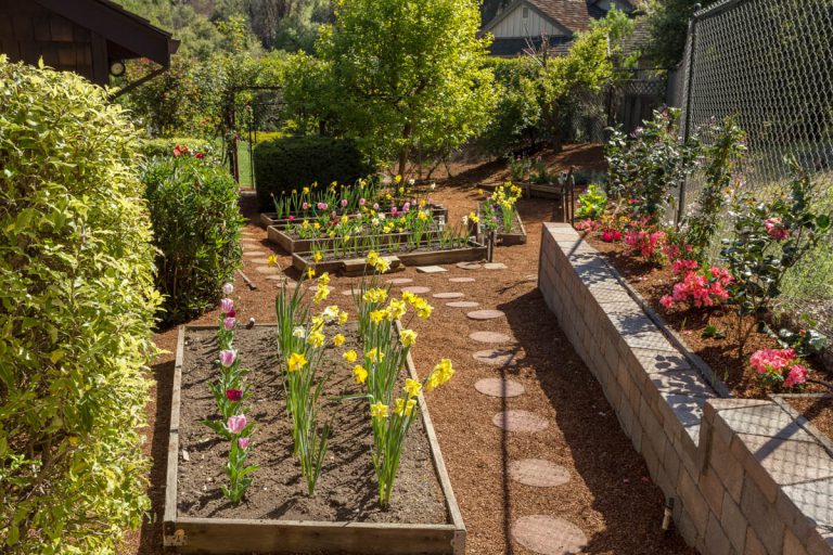 619_1459542755_1569243