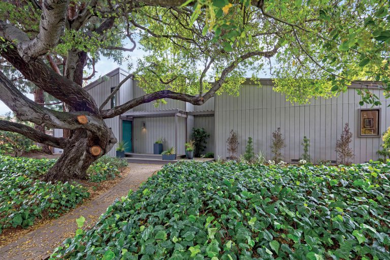 731_1490126055_1152502-1