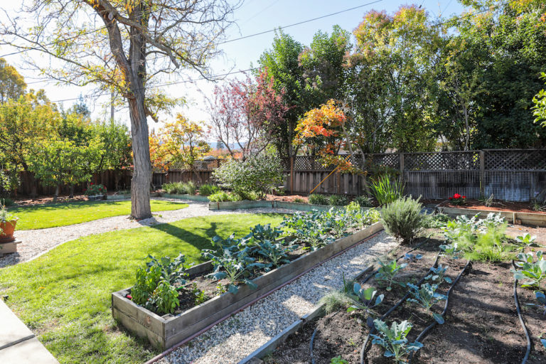 Photographed by Blu Skye Media