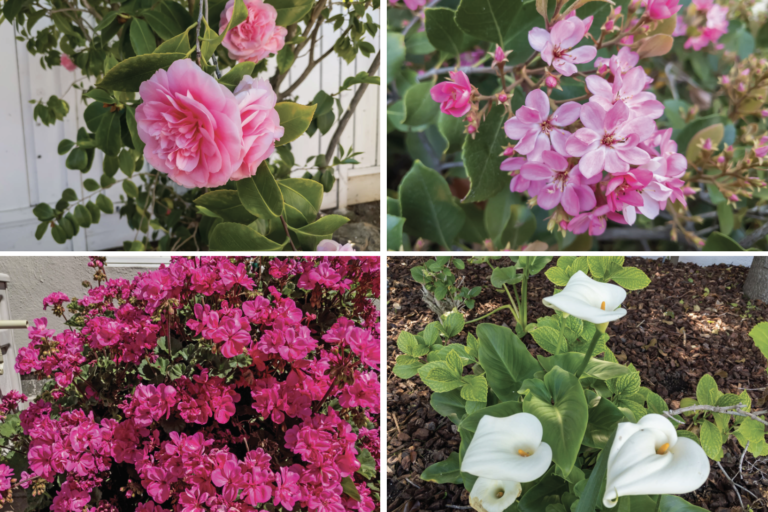 Screen Shot 2021-04-15 at 8.43