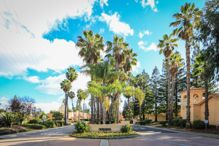 Photographed by Blu Skye Media