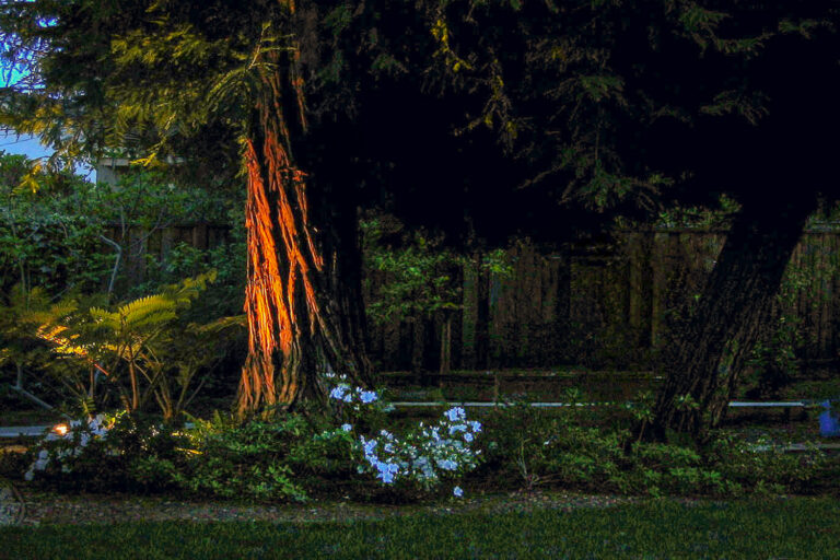 DCIM100MEDIADJI_0015