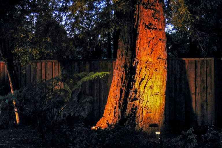 DCIM100MEDIADJI_0015