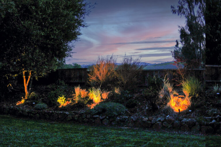 DCIM100MEDIADJI_0015