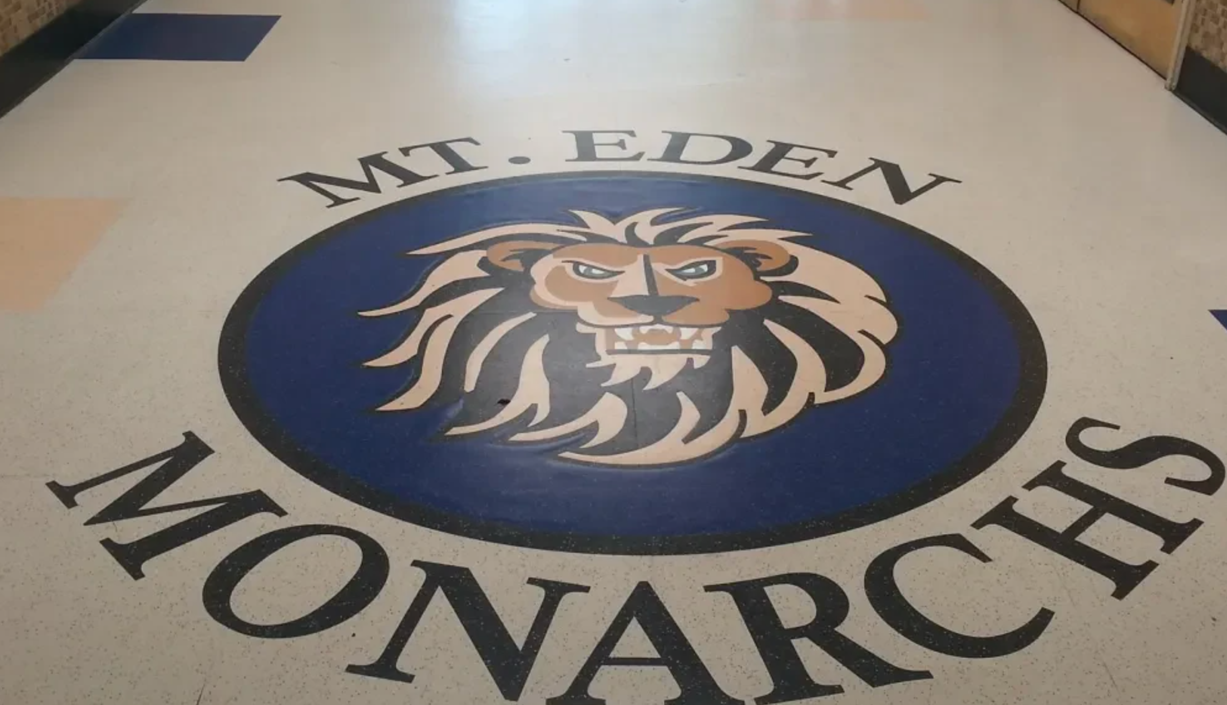 Mt Eden High School