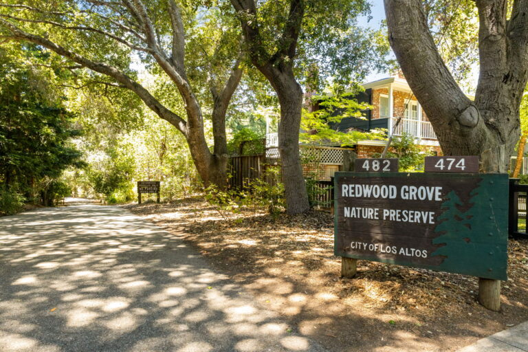 42-web-or-mls-So Gold Redwood Grove-2