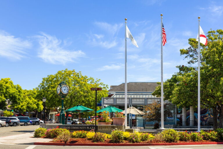 6-web-or-mls-So Gold Downtown Los Altos-6