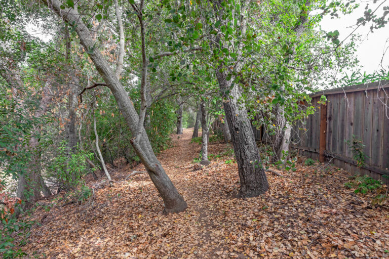 Stevens Creek Hiking (1)