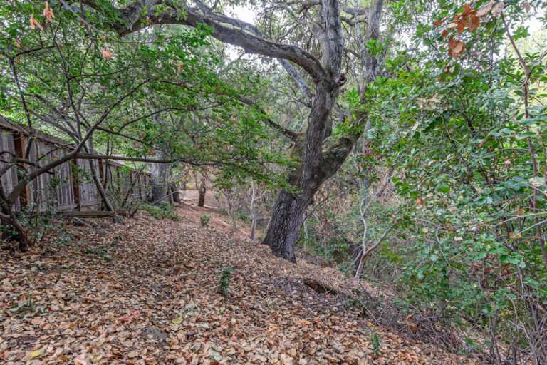 Stevens Creek Hiking (2)