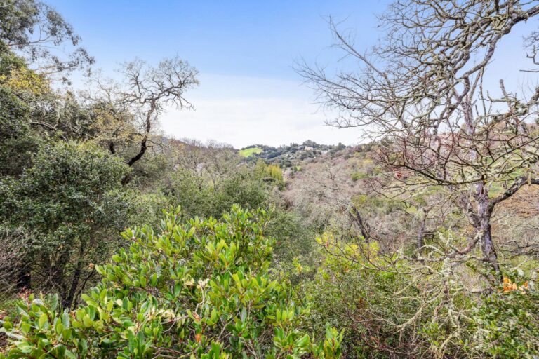 026-24292-elise-court.87479.ppu.010