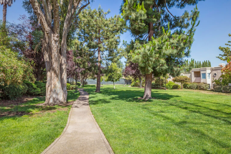 Cuernavaca Grounds (2)