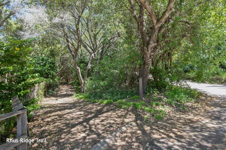 069-11881-francemont-drive.90391.p5k.200